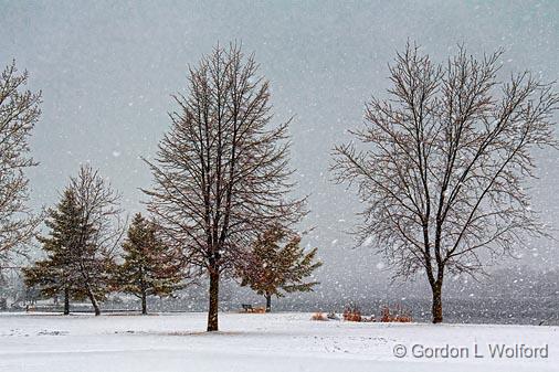 First Day Of Spring_07410.jpg - Photographed along the Rideau Canal Waterway at Smiths Falls, Ontario, Canada.